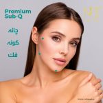 رویترین ساب کیو
